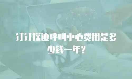 钉钉探迹呼叫中心费用是多少钱一年？