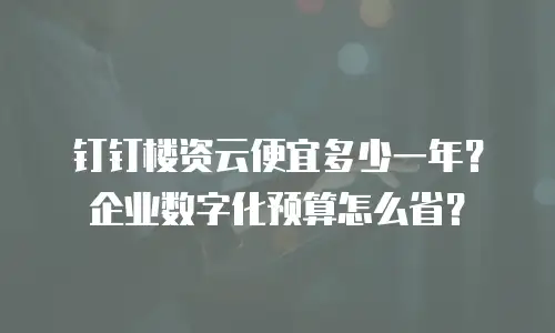 钉钉楼资云便宜多少一年？企业数字化预算怎么省？