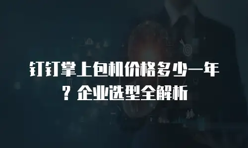 钉钉掌上包机价格多少一年？企业选型全解析