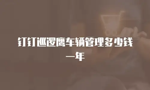 钉钉巡逻鹰车辆管理多少钱一年
