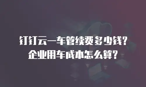 钉钉云一车管续费多少钱？企业用车成本怎么算？