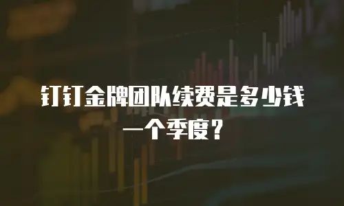 钉钉金牌团队续费是多少钱一个季度？