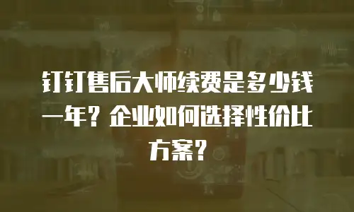 钉钉售后大师续费是多少钱一年？企业如何选择性价比方案？