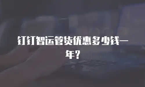 钉钉智运管货优惠多少钱一年？