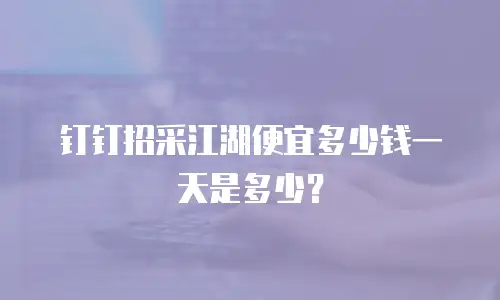 钉钉招采江湖便宜多少钱一天是多少？