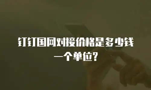 钉钉国网对接价格是多少钱一个单位？