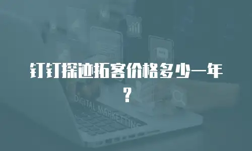 钉钉探迹拓客价格多少一年？