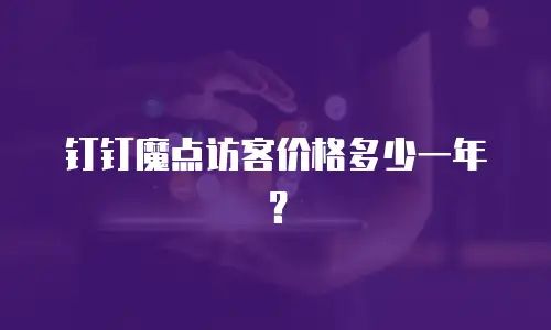 钉钉魔点访客价格多少一年？