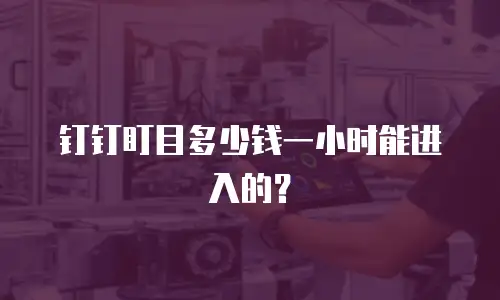 钉钉盯目多少钱一小时能进入的？
