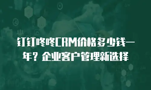 钉钉咚咚CRM价格多少钱一年？企业客户管理新选择