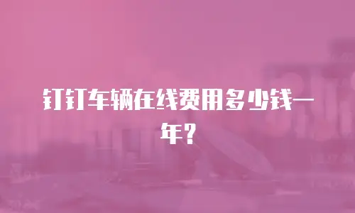 钉钉车辆在线费用多少钱一年？