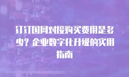 钉钉国网对接购买费用是多少？企业数字化升级的实用指南