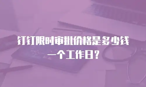 钉钉限时审批价格是多少钱一个工作日？