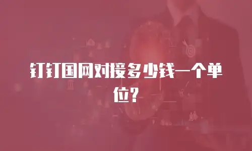 钉钉国网对接多少钱一个单位？