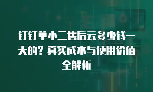 钉钉单小二售后云多少钱一天的？真实成本与使用价值全解析