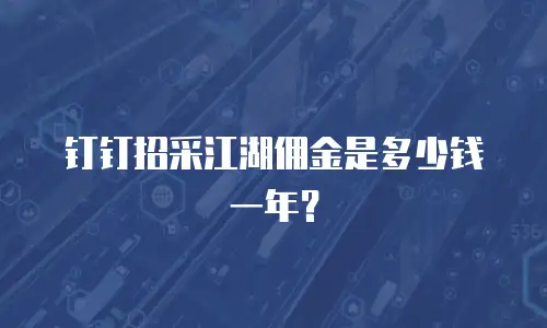钉钉招采江湖佣金是多少钱一年？