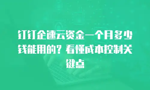 钉钉企速云资金一个月多少钱能用的？看懂成本控制关键点
