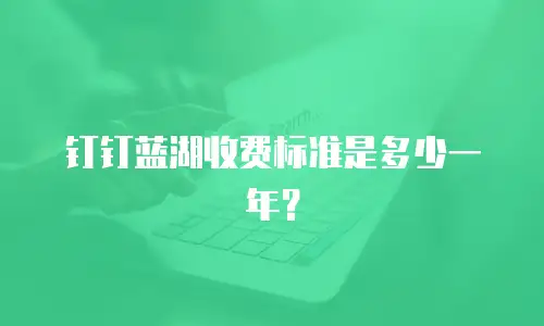 钉钉蓝湖收费标准是多少一年？
