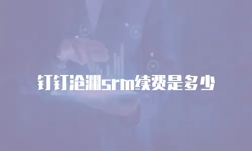 钉钉沧渊srm续费是多少
