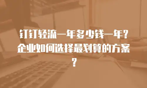 钉钉轻流一年多少钱一年？企业如何选择最划算的方案？