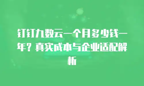 钉钉九数云一个月多少钱一年？真实成本与企业适配解析