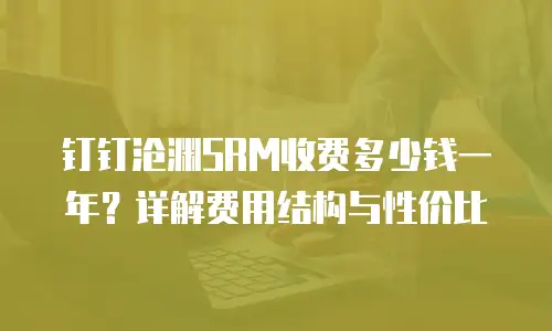 钉钉沧渊SRM收费多少钱一年？详解费用结构与性价比