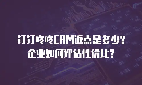 钉钉咚咚CRM返点是多少？企业如何评估性价比？