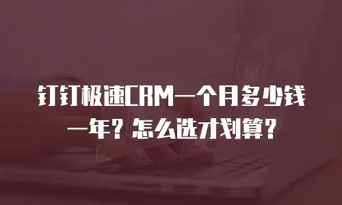 钉钉极速CRM一个月多少钱一年？怎么选才划算？