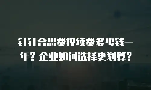 钉钉合思费控续费多少钱一年？企业如何选择更划算？