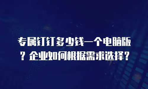 专属钉钉多少钱一个电脑版？企业如何根据需求选择？