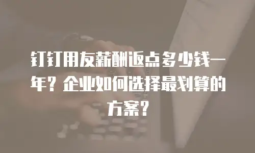 钉钉用友薪酬返点多少钱一年？企业如何选择最划算的方案？