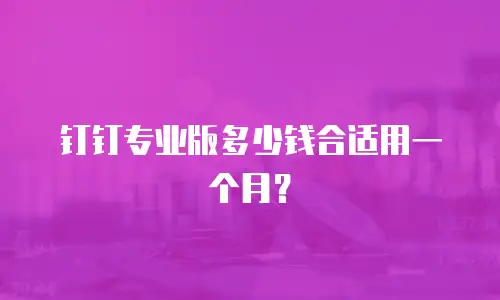 钉钉专业版多少钱合适用一个月？