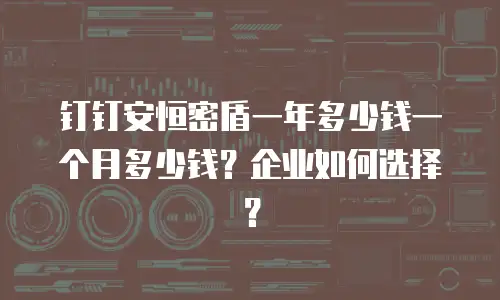 钉钉安恒密盾一年多少钱一个月多少钱？企业如何选择？