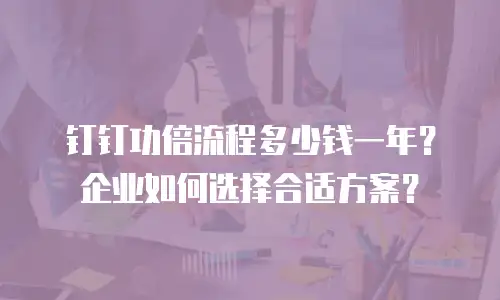 钉钉功倍流程多少钱一年？企业如何选择合适方案？