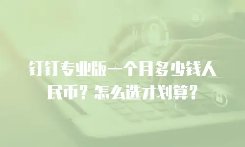 钉钉专业版一个月多少钱人民币？怎么选才划算？
