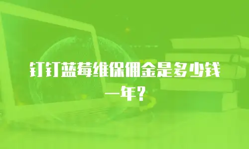 钉钉蓝莓维保佣金是多少钱一年？
