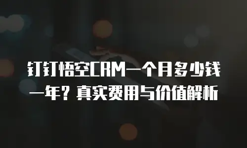 钉钉悟空CRM一个月多少钱一年？真实费用与价值解析