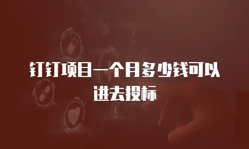 钉钉项目一个月多少钱可以进去投标