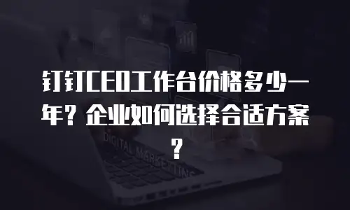 钉钉CEO工作台价格多少一年？企业如何选择合适方案？
