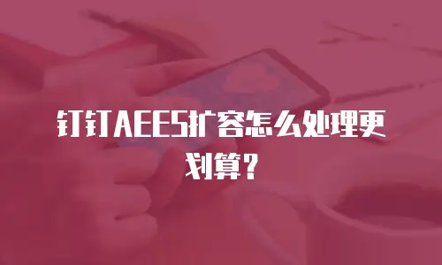 钉钉AEES扩容怎么处理更划算？