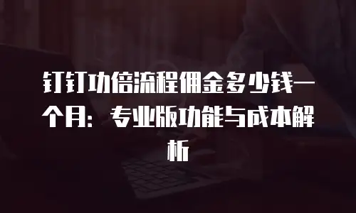 钉钉功倍流程佣金多少钱一个月：专业版功能与成本解析