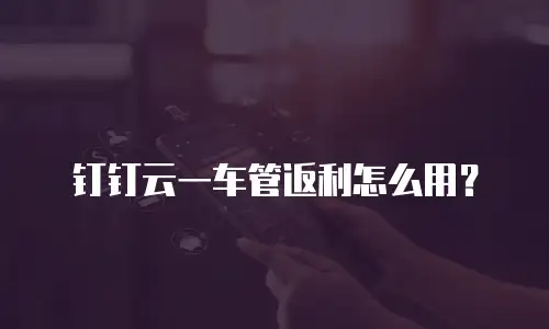 钉钉云一车管返利怎么用？
