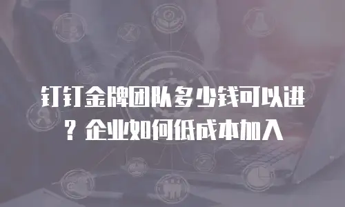 钉钉金牌团队多少钱可以进？企业如何低成本加入