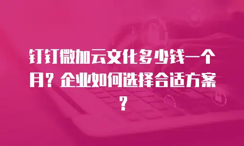 钉钉微加云文化多少钱一个月？企业如何选择合适方案？