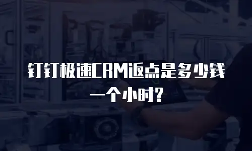 钉钉极速CRM返点是多少钱一个小时？