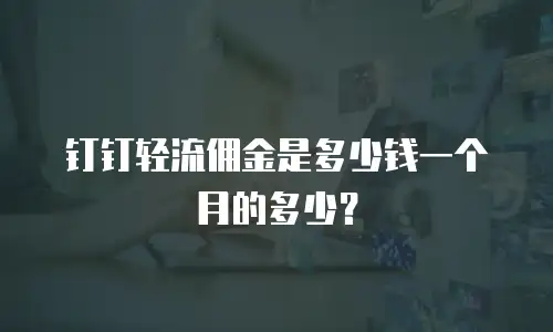 钉钉轻流佣金是多少钱一个月的多少？