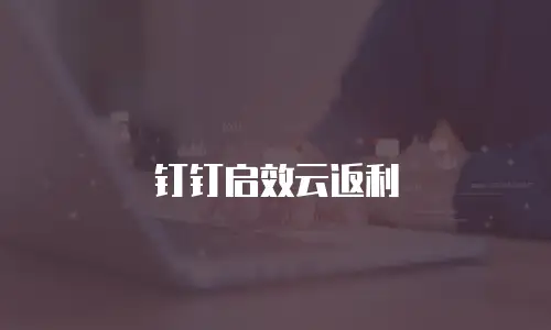 钉钉启效云返利