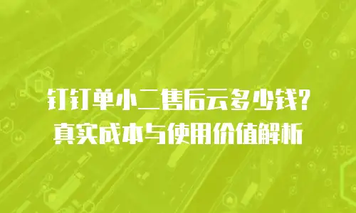 钉钉单小二售后云多少钱？真实成本与使用价值解析