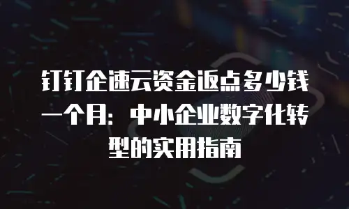 钉钉企速云资金返点多少钱一个月：中小企业数字化转型的实用指南