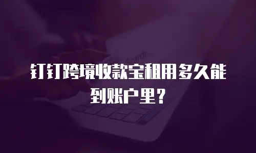 钉钉跨境收款宝租用多久能到账户里？